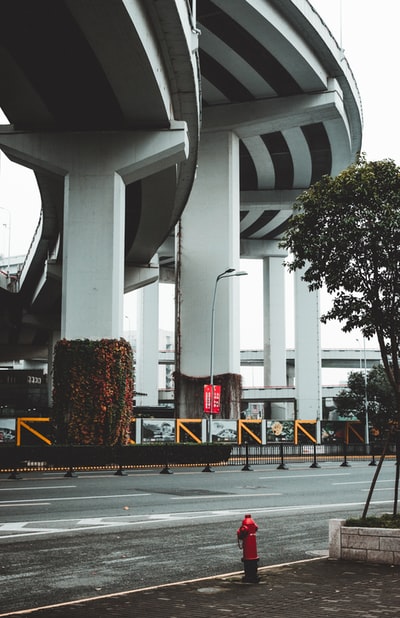 白天在绿树旁建造白色和灰色的混凝土建筑